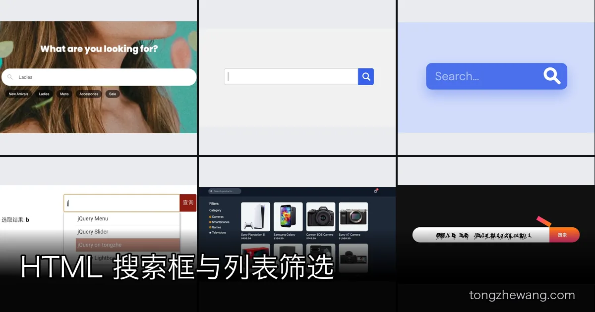 2026 推荐 10 款搜索框 HTML 样式与交互:展开动画、自动补全和列表筛选源码下载