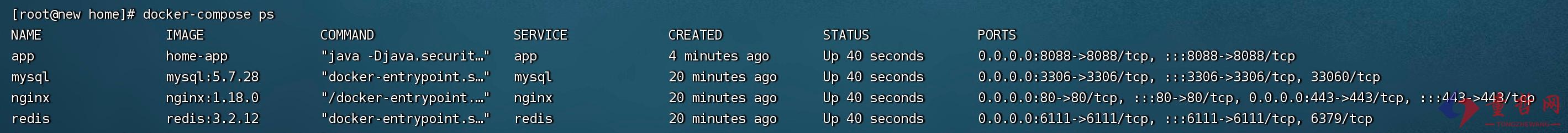 如何通过docker镜像部署springboot项目