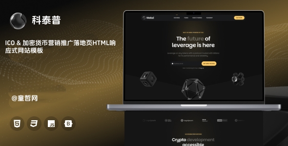 ICO & 加密货币营销推广落地页HTML响应式网站模板,专业展示数字货币与区块链项目