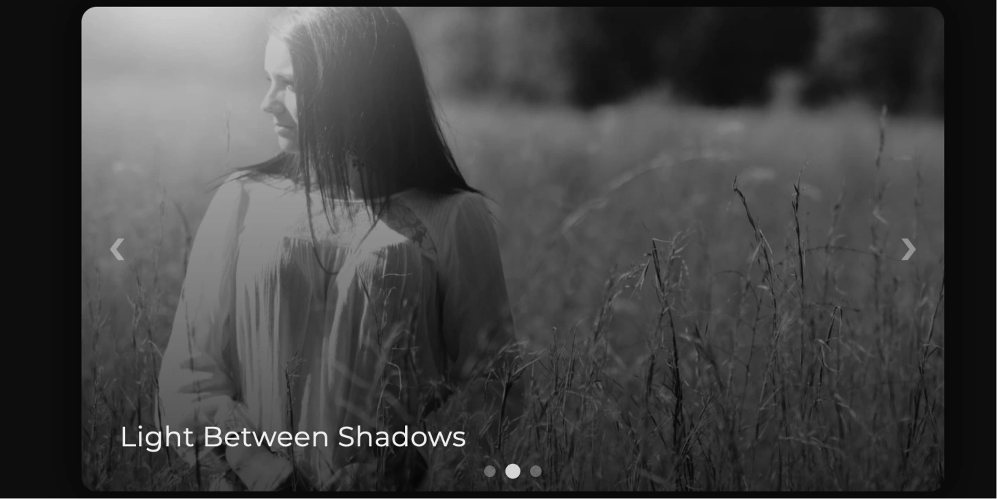 以黑白滤镜实现的黑白底色幻灯片自动轮播效果,极简艺术风格幻灯片组件 ,艺术化呈现摄影作品