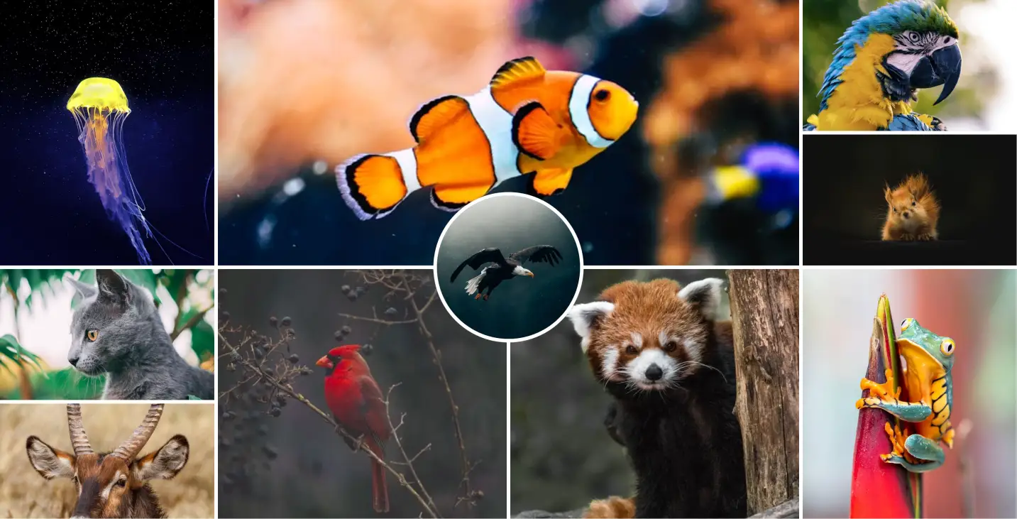 纯 CSS 实现的响应式网格照片墙布局效果