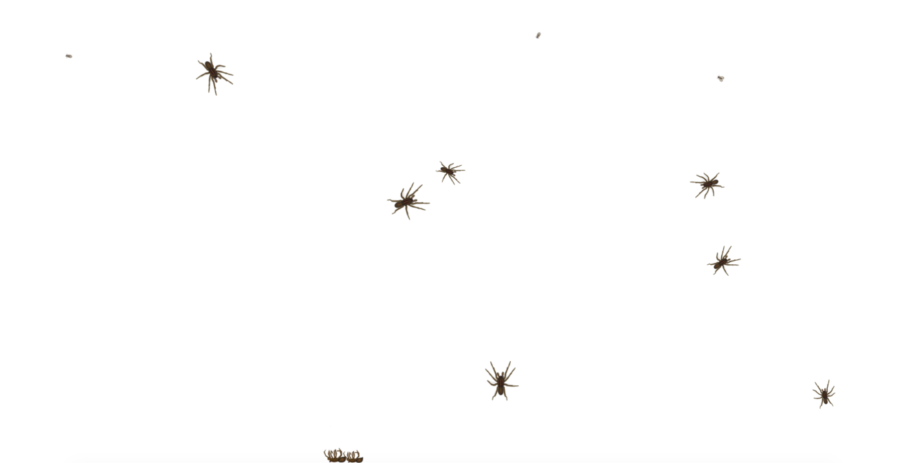 纯 Javascript 实现的蜘蛛+虫子在页面随机出现与爬动背景动画，支持鼠标交互效果