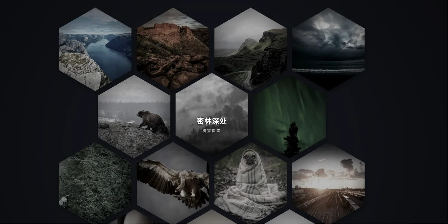 六边形蜂巢图片墙特效｜纯 CSS 交错咬合画廊源码